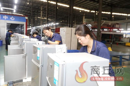 科技賦能，技術(shù)開發(fā)驅(qū)動(dòng)冷產(chǎn)業(yè)轉(zhuǎn)型升級新篇章